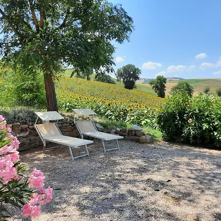 Appartement Casa Leone *